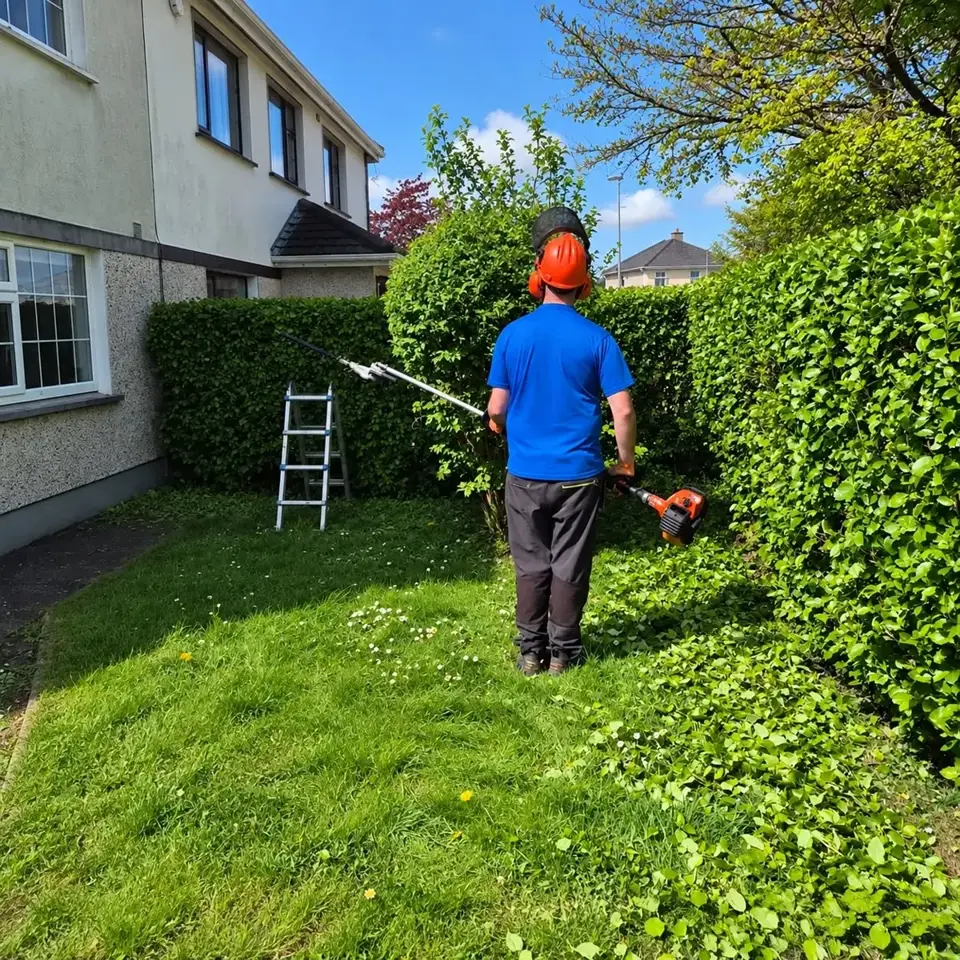 Worker trimming a hedge beside a house