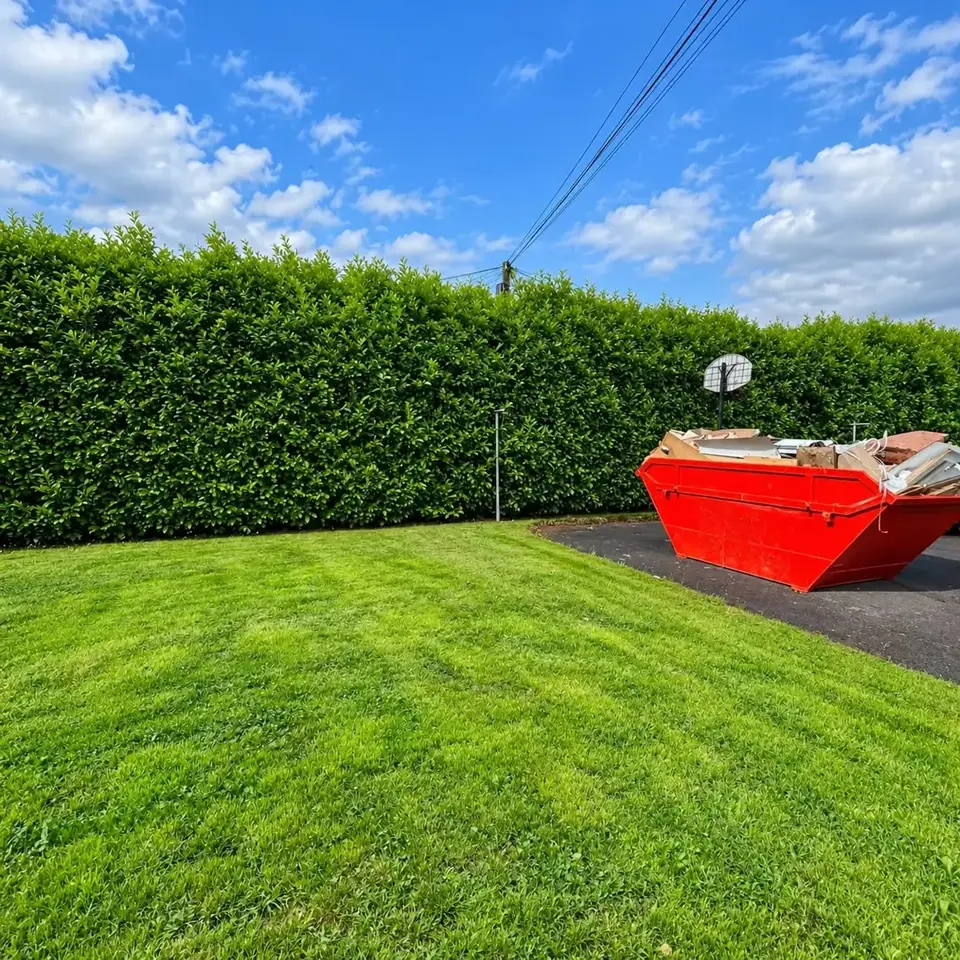 Tall trimmed hedge beside a freshly cut lawn