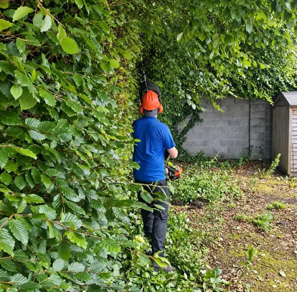 Worker clearing overgrown vegetation in a garden